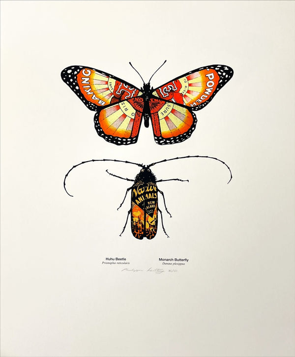 Monarch Butterfly and Huhu Beetle